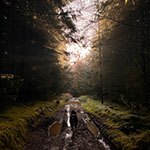 Wide Games/Forest Fun