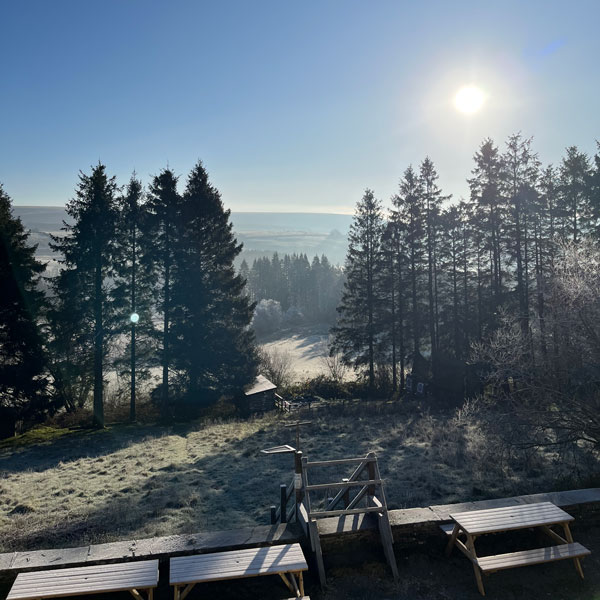 garden view from the office